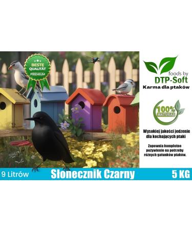 5kg Black Sunflower Seeds Wild Bird Food Sunflowers in Bucket (5kg) - Buy Online on GoSupps.com
