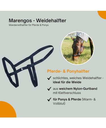 Marengos Weide Halver | Soft Halter for Horses & Ponies | Durable Handlebar for Pasture | Night Blue Warmblood Size | International Shipping - Buy Online on GoSupps.com
