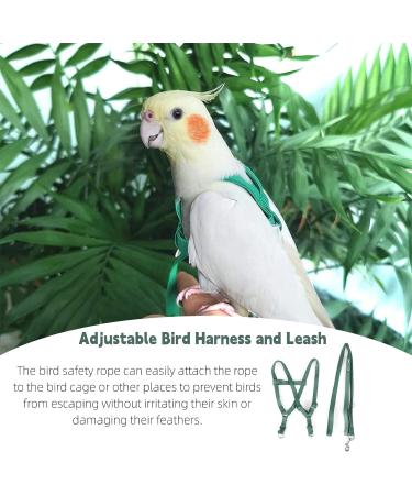 Felenny Bird Dishes & Adjustable Leash - Essential Outdoor Accessories for Scarlet Red Ara Sun Conure & Nymphensittich (Green Small) - Buy Online on GoSupps.com