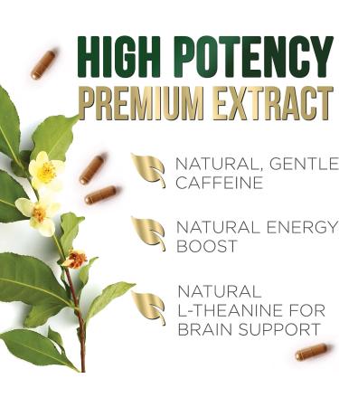 Green Tea Extract Capsules 1000 mg - Standardized 45% EGCG & 98% Polyphenols - 3X Strength Green Tea Pills for Natural Energy - Supports Heart Health Herbal Supplement Vegan Non-GMO - 240 Capsules 240 Count (Pack of 1) - Buy Online on GoSupps.com