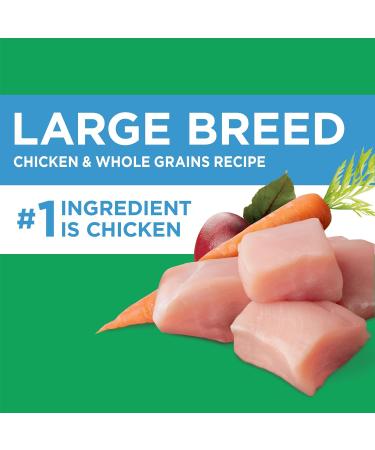 IAMS Proactive Health Dog Food Dry Adult Large Breed Chicken & Whole Grains Recipe + IAMS Proactive Health Dry Dog Food - Mature (7+) - Original Dog Food+ Dog Food 6.8kg 6.80 kg (Pack of 1) - Buy Online on GoSupps.com