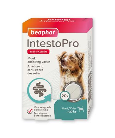 BEAPHAR – IntestoPro – Tablets to improve stool consistency – Promotes Digestion – Active Ingredient of Natural Origin – for Dogs (>20 kg) – 20 tablets