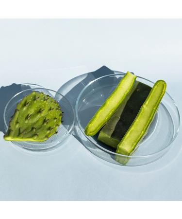 Weleda Prickly Pear Cactus 24hr Hydrating Cream 30ml - Buy Online on GoSupps.com