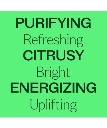Plant Therapy Lime Steam Distilled Essential Oil 30 mL (1 oz) 100% Pure Undiluted Fresh Scent Mood Boosting Immune Support Lime Steam Distilled 1 Fl Oz (Pack of 1) - Buy Online on GoSupps.com