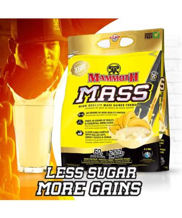 Interactive Nutrition Mammoth Mass Supplement 5 lbs Banana - 2.2kg - Buy Online on GoSupps.com