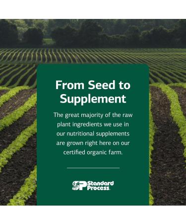 Standard Process Inc. Immuplex - Daily Immune Support Supplement with Folate Iron Vitamin C & Vitamin A - Mineral Supplement with Antioxidant Ingredients - 90 Capsules 90 Count (Pack of 1) - Buy Online on GoSupps.com