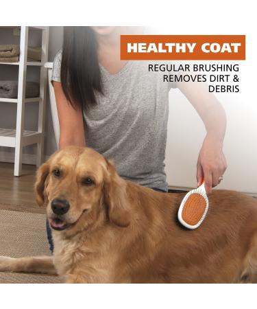 Wahl Premium Pet Double Sided Pin Bristle Brush - Model 858501 | Removes Loose Hair, Stimulates Skin, Creates Soft Coat Shine - Buy Online on GoSupps.com