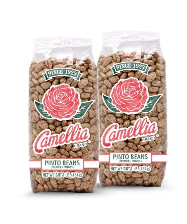 Camellia Brand Dried Pinto Beans, 1 Pound (Pack of 2) Pinto 1 Pound (Pack of 2)