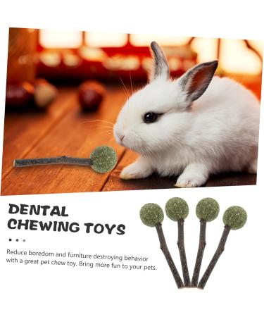 INOOMP 4pcs Guinea Chewing Playthings Rabbit Chewing Ball Guinea Pig Treats Bunny Teething Ball - Buy Online on GoSupps.com
