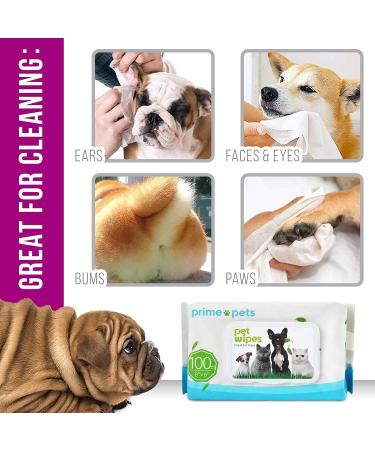 PrimePets Wet Wipes for Dogs & Cats - Antibacterial Cleaning Towels | 600 Pieces - Deodorizing Face & Ear Wipes for Pets - Buy Online on GoSupps.com