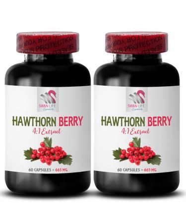 hawthorn extract supplement - HAWTHORN BERRIES EXTRACT - berry supplement antioxidant supplement for women antioxidant berries organic hawthorn berry extract antioxidants for women 2 Bot 120 Caps