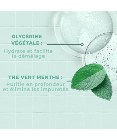 ENERGIE FRUIT | Clean Detox Shampoo | Oily Roots & Dry Ends | Green Tea | 250 ml - Buy Online on GoSupps.com