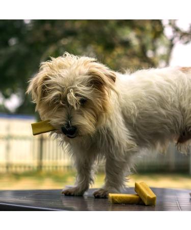 Yakers Dog Chew Medium 130 g (Pack of 2) Milk 130 g (Pack of 1) - Buy Online on GoSupps.com