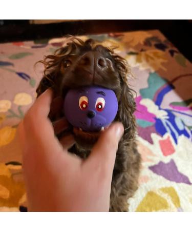 6 x Latex Faceballs Dog Puppy Toy Tennis Balls Sized Soft Squeaky Face Balls - Buy Online on GoSupps.com