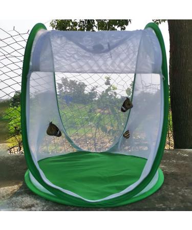 CHICIRIS Butterfly Habitat Pop Up Monarch Butterfly Enclosure Clear Insect Cage Terrarium with Handle 13.2 x 13 x 14.4in - Buy Online on GoSupps.com
