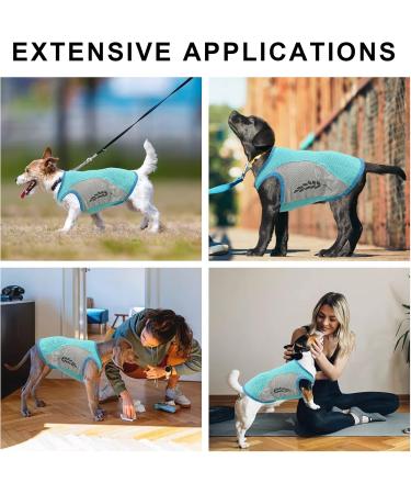 Dog Cooling Vest - Summer Breathable Mesh Jacket for Small to Medium Dogs (XL Green) | Ice Cooling T-Shirt with Reflector Strips - Buy Online on GoSupps.com