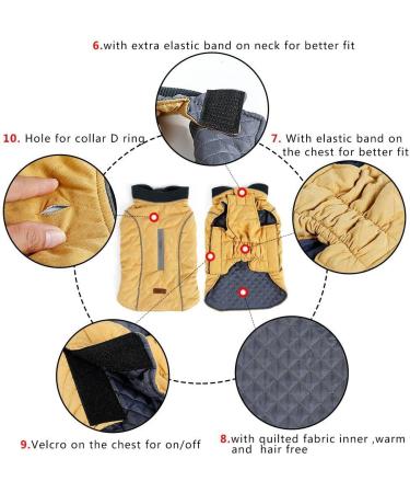 Withu Cold Winter Dog Pet Coat Jacket Vest Warm Outfit Clothes for Small Medium Large Dogs Green XS XS (Length 10.5'' Chest 13.2-15.2'' ) Green - Buy Online on GoSupps.com