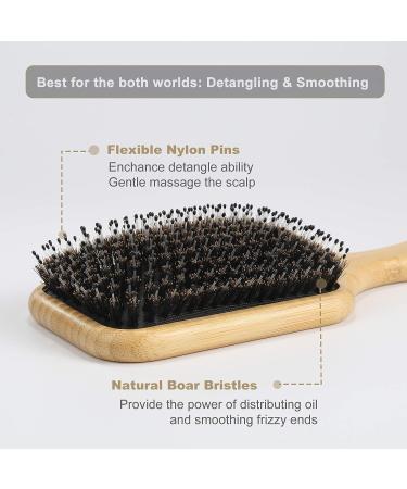BESTOOL Boar Bristle Hair Brush for Women Men Kids - Wet/Dry Hair Smoothing & Detangling - Enhance Shine & Health - Square Design - Buy Online on GoSupps.com
