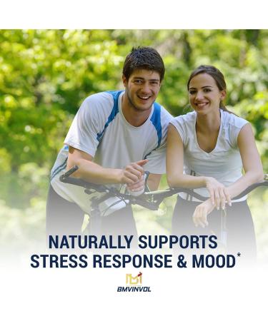 6 Month Supply Ashwagandha Extract Capsules 5850mg - Mood & Immune Support - with St. John's Wort, Turmeric, Rhodiola Rosea Extract - 180 Caps - Buy Online on GoSupps.com