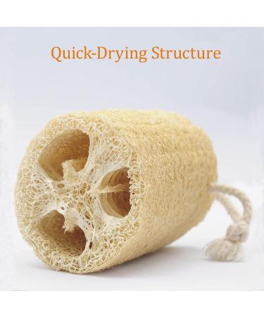100% Natural Unbleached Loofah Sponge | Exfoliating Bath Scrubber for Adults | Ideal for Showers & Cleaning | Pack of 6 - Buy Online on GoSupps.com