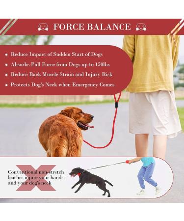 1Pc Nylon Dog Training Rope Slip Lead Dog Leash Durable Dog Traction Rope Durable Dog Traction Rope Suitable for Small Medium Dogs (Red) - Buy Online on GoSupps.com