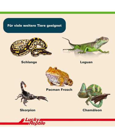 Buy Lucky Reptile Tortoise Bedding 50L - Premium Tortoise Soil for Healthy Habitat | International Shipping Available - Buy Online on GoSupps.com