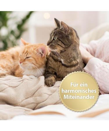 Felisept Family Comfort Refill Bottle 45ml - Natural Catnip Relaxation Agent for Multi-Cat Households | Sedative for Cats Without Pheromones - Buy Online on GoSupps.com