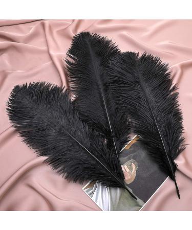 24pcs Natural Black Ostrich Feathers 10-12inch for Wedding & Home Decor - Buy Online on GoSupps.com