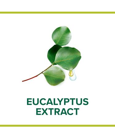 Palmolive Hygiene Plus Eucalyptus Handwash 6x300ml - Pack of 6 Eucalyptus Scented Handwash - Buy Online on GoSupps.com