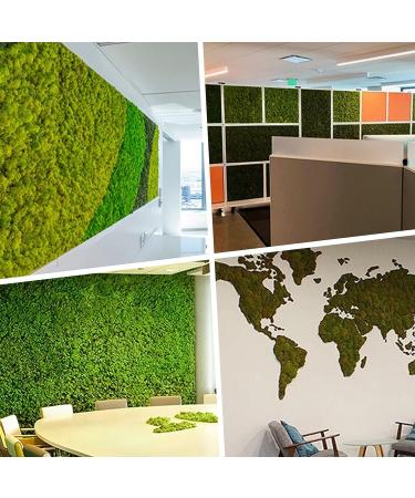 TKOnline 4 oz Preserved Green Moss for Fairy Gardens, Potted Plants, DIY Crafts, Floral Projects, Weddings - Buy Online on GoSupps.com