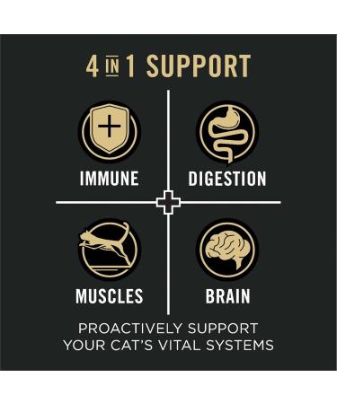 Purina Pro Plan Vital Systems Dry Cat Food Chicken & Egg - 2.27 kg Bag 2.27 kg (Pack of 1) - Buy Online on GoSupps.com
