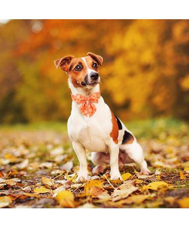 Aring Pet Autumn Dog Collar - Adjustable Yellow Cotton Band with Sailor Design for Small & Medium Dogs (Pack of 1) - Buy Online on GoSupps.com