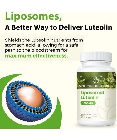 Valenameienes 500mg Liposomal Luteolin Supplement | Powerful Antioxidant | 60 Softgels - Buy Online on GoSupps.com