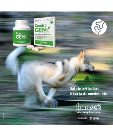 INNOVET Condrogen Energy 60 tablets - Buy Online on GoSupps.com