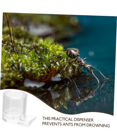 GREENADSCAPE Pet Water Feeder Ant Feeder Ant Feed Bowl Ant Keeper Tools Ant Bowl Ant Feeding Cup Plastic - Buy Online on GoSupps.com