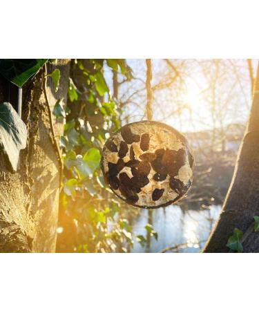 90 Chubby Half Filled Coconuts - Raisins Wild Bird Food - Buy Online on GoSupps.com