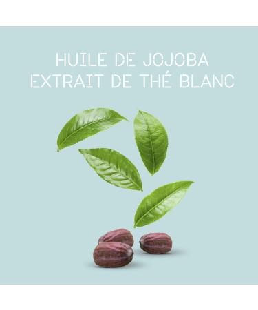 Kadus Scalp Purifying Shampoo - Buy Online on GoSupps.com