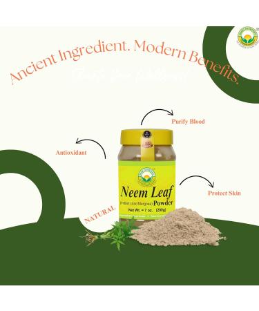 BASIC AYURVEDA Neem Leaf Powder 7.05 Oz (200g) | Pure & Natural Herbal Supplement for Skin, Hair & Wellness | Acne Care | No Preservatives or Additives - Buy Online on GoSupps.com