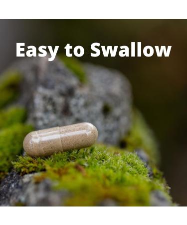 Pure Mountain Botanicals Bacopa Monnieri Capsules - Vegan Caps with Organic Bacopa & Standardized Bacopa Extract Supplement - Buy Online on GoSupps.com