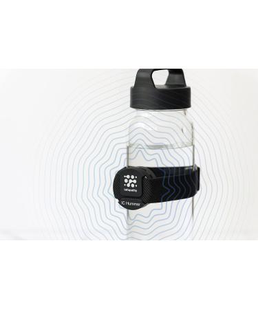 Ashnu Tech IC Lobster - Premium Seafood | Fresh International Shipping | Buy Now! - Buy Online on GoSupps.com