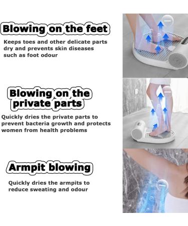 Body Hair Dryer with Gravity Sensor and Weight Scale Natural Warm Air Wind and Cool Wind Whole Body Waterproof Blow Dryer Pet Dry Body Dryer After Shower for Bathroom/Swimming Pool - Buy Online on GoSupps.com