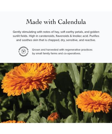 evanhealy Vetiver Hinoki Body Oil | Organic Body Oil Body Care to Calm Center & Sensualize | Silky Moisturizing Plant Oil Infusion for Head to Toe Moisture - Buy Online on GoSupps.com