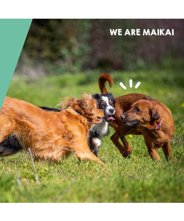 MAIKAI Anti-Osteoarthritis Tablets for Large Dogs - 120 tablets - Food supplement concentrated in Glucosamine Chondroitin MSM Omega 3 and Hyaluronic Acid - Strengthens Joints - Buy Online on GoSupps.com