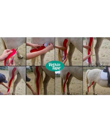 Vetkin Vetkintape Kinesiology Tape for Animals - 6cm x 5m | Premium Latex-Free Kinesiotape for Horses & Dogs | T V-Certified & 25% Stronger Adhesive (Pink) - Buy Online on GoSupps.com