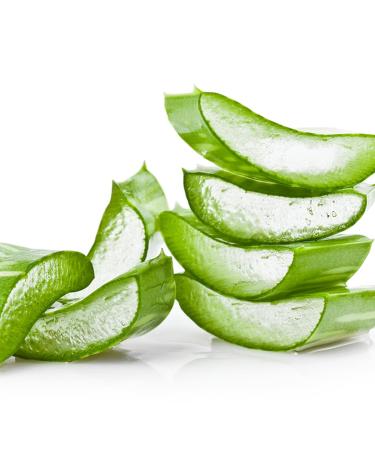 Mylee After Care 500ml Skin Cream - Soothing Aloe Enriched Formula for Post Hair Removal Relief | International Shipping Available - Buy Online on GoSupps.com