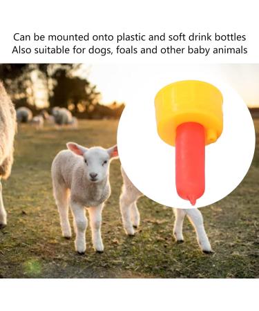 Buy MXGZ Red Silicone Sheep Pacifier - Safe for Orphaned Animals | International Shipping Available - Buy Online on GoSupps.com