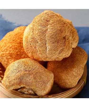 Hericium Erinaceus Organic Wild Lions Mane Mushroom Brain & Memory Tonic Hou Tou Gu (500 Grams) - Buy Online on GoSupps.com