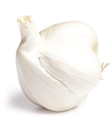 Christopher Ranch Garlic Elephant - Fresh and Flavorful Bulb (1 Each) - Buy Online on GoSupps.com