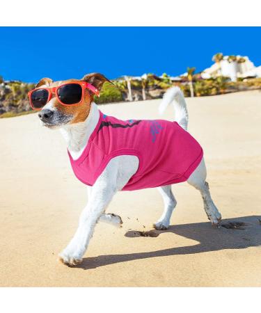 9 Pieces Printed Pet Shirts Dog T-Shirts Summer Pet T Shirt Cute Dog T Shirts Soft Breathable Dog Sweatshirt for Small Medium Dogs Puppy Cats (Small) - Buy Online on GoSupps.com
