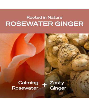 Hey Humans Rosewater Ginger Moisturizing Body Wash - Vegan Sulfate Free Formula with Jojoba Oil | Natural Ingredients | 14 fl. oz. (Pack of 3) - Buy Online on GoSupps.com